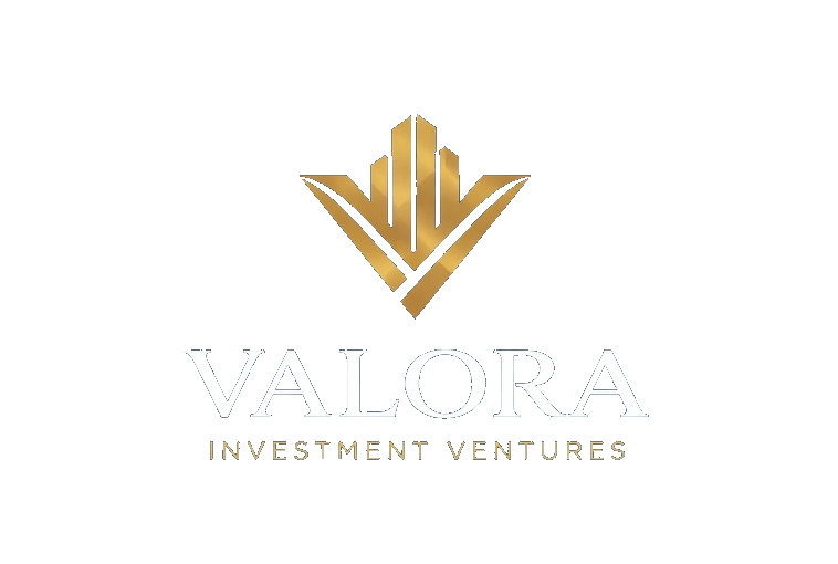 Valora Investment Ventures logo